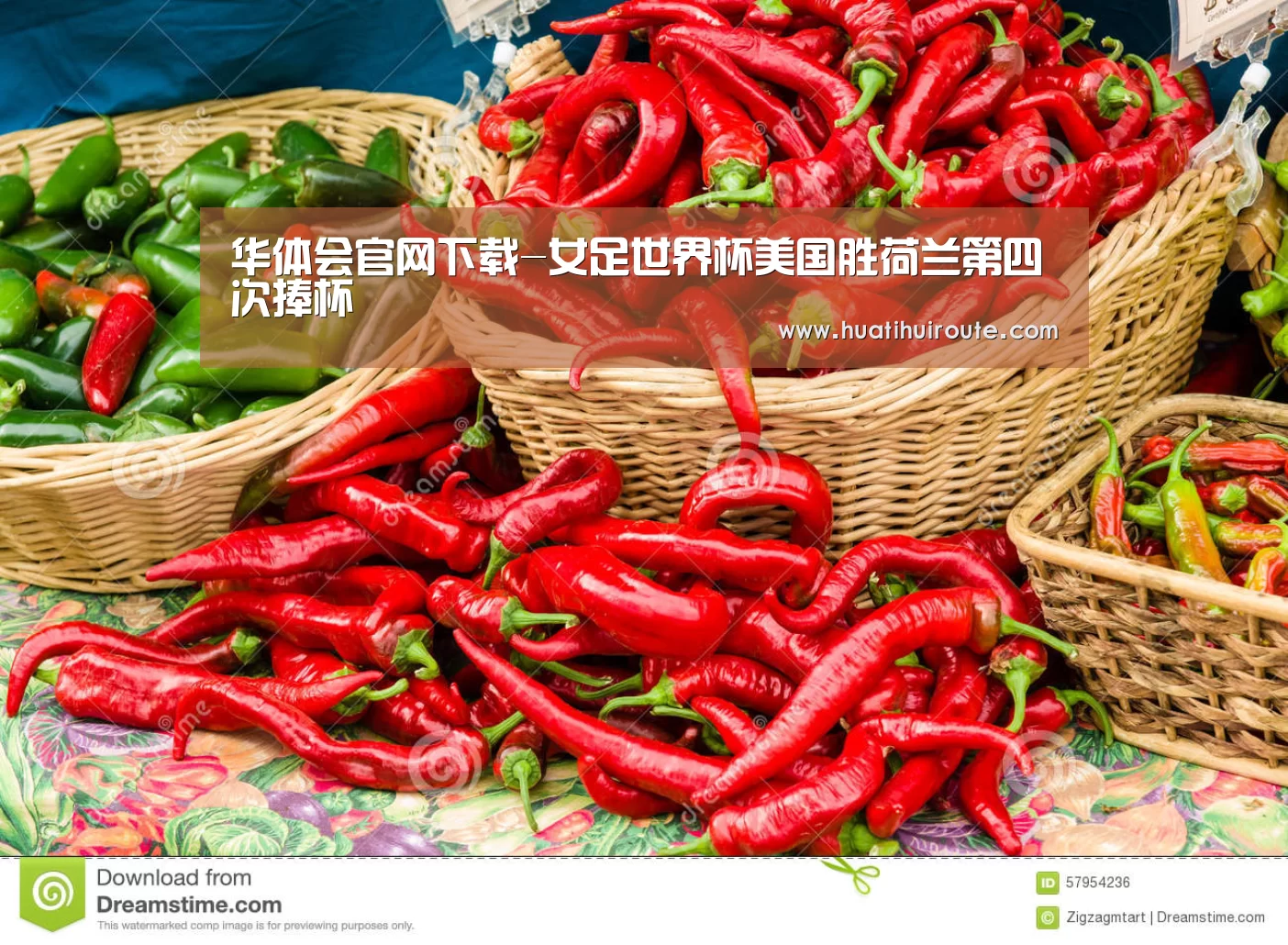 华体会官网下载-女足世界杯美国胜荷兰第四次捧杯(图3)